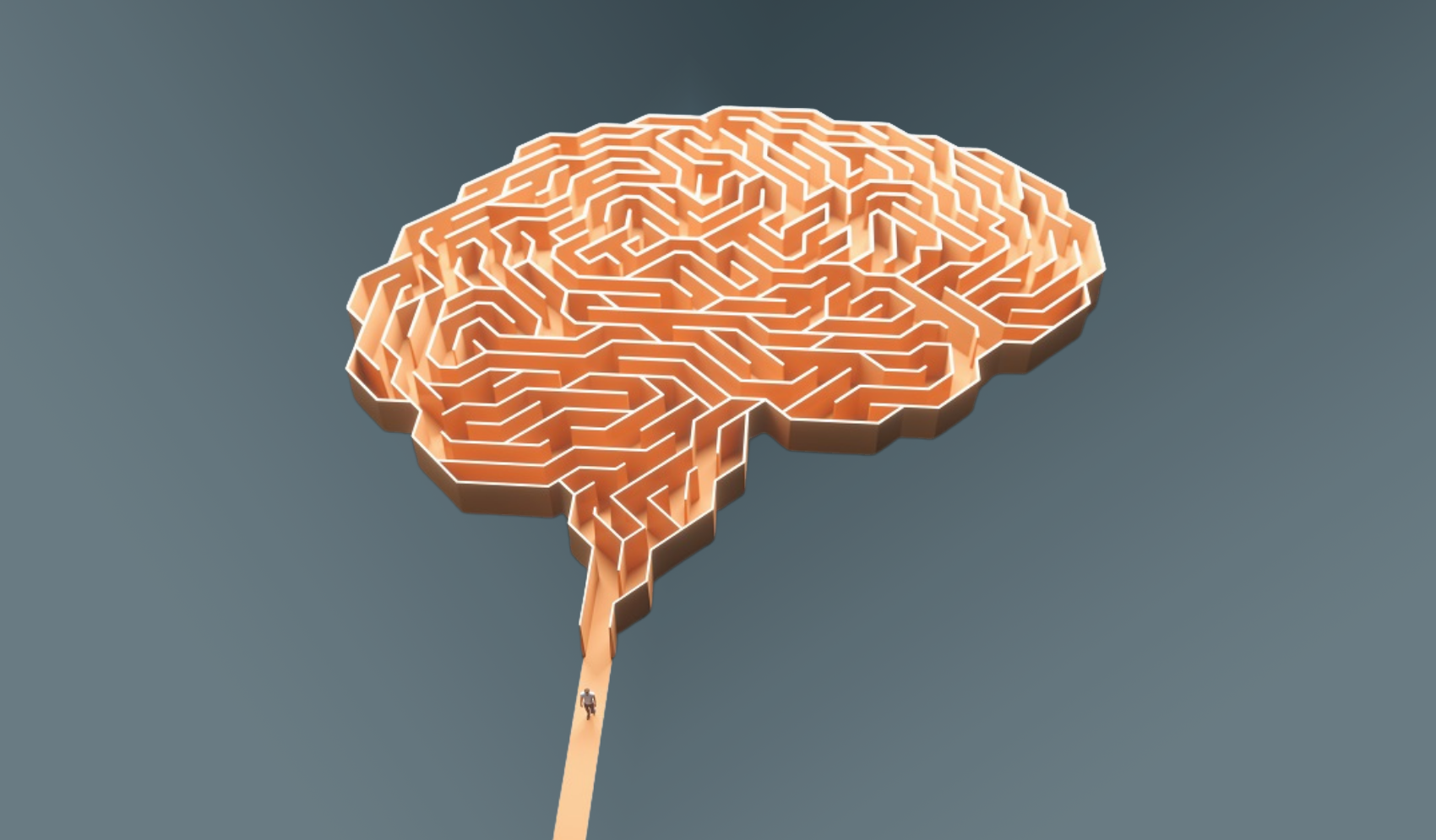 Darstellung eines Gehirns als Labyrinth