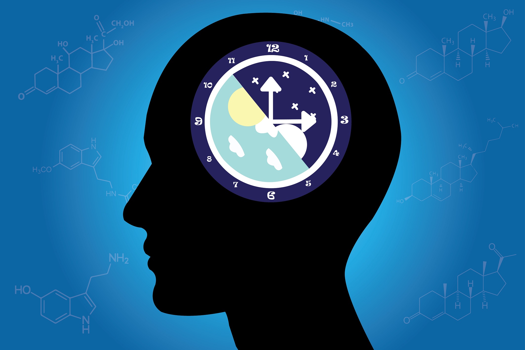 Darstellung einer inneren Uhr im Gehirn