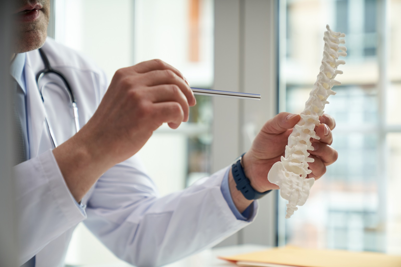 Physician holding a model of the spine